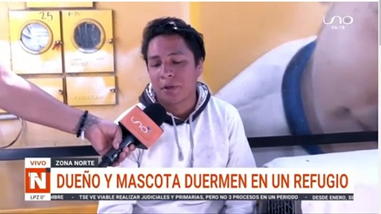 Denuncia de maltrato animal