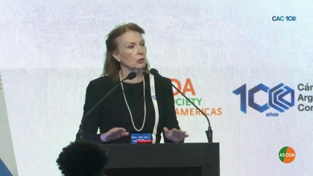 Mondino pidió inversiones en el Council de las Américas, con licencias: No discutamos si hay o no cambio climático