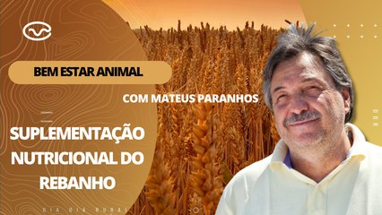Bem-estar Animal: Suplementação nutricional do rebanho
