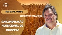 Bem-estar Animal: Suplementação nutricional do rebanho