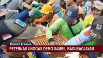 Kesal Rugi Terus, Peternak Unggas Demo Sambil Bagi-Bagi Ayam