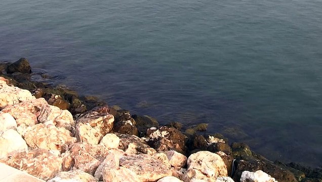 Negociações de cessar-fogo são retomadas enquanto mortes ultrapassam 40.000 em Gaza