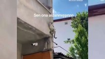Aşık olduğu ev kedisine kavuşmak için her yolu deneyen sokak kedisinin görüntüleri viral oldu