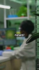 Mice Prove Dieting Doesn't Kill Workout