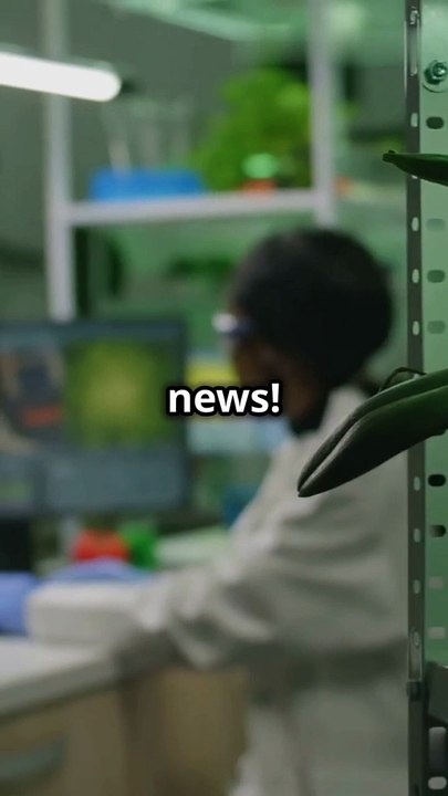 Mice Prove Dieting Doesn't Kill Workout