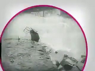 'El ángel ebrio' - Tráiler Oficial