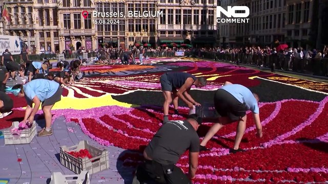 На площади Гран-Плас в Брюсселе появился ковер из цветов