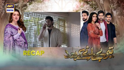 Teray Janay Kay Baad Episode 13 -  15 August 2024   ARY Digital Drama