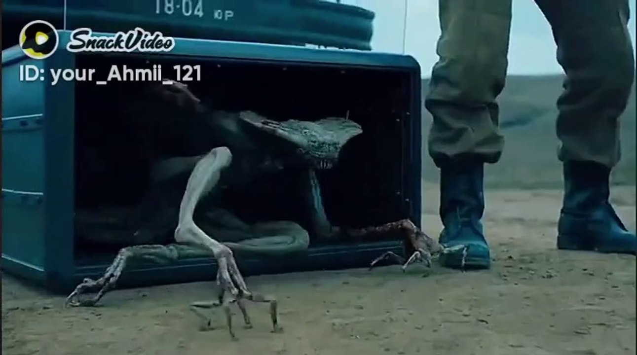 ni men rulya