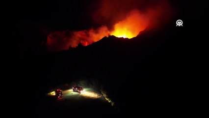 Çanakkale'de orman yangını sürüyor