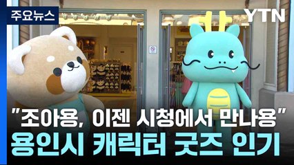 "조아용, 이젠 시청에서 만나용"...용인시 캐릭터 굿즈 인기 / YTN