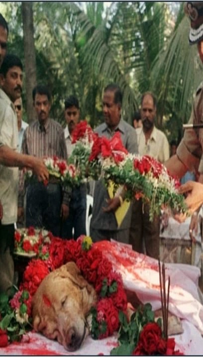 Homenaje a Zanjeer: * El Labrador que Protegió a Bombay en 1993