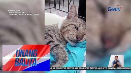 Pusa, patay matapos panain | Unang Balita