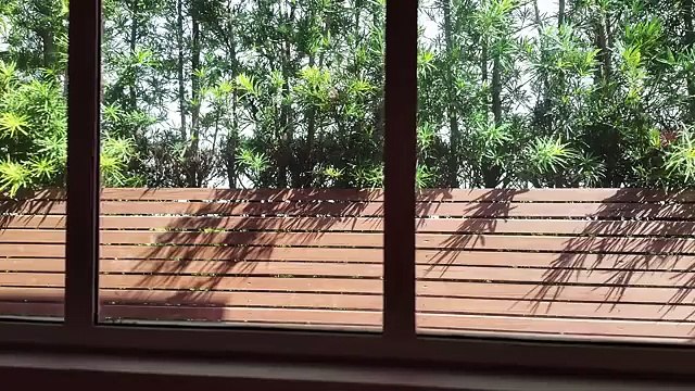 Evaluna Montaner y Camilo explicaron por qué eligieron dar a luz a sus hijos en casa: La manera más natural