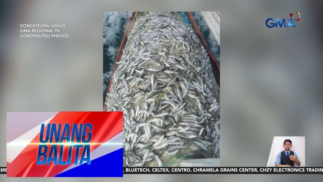 Mga nahuhuling tamban, abot sa 5 tonelada; presyo, bumaba dahil sa oversupply | Unang Balita