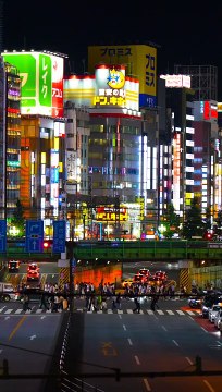 JAPAN Shinjuku (Tokyo)