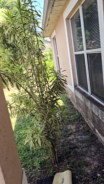 466 REDWING  ST LEHIGH ACRES,FL,33974