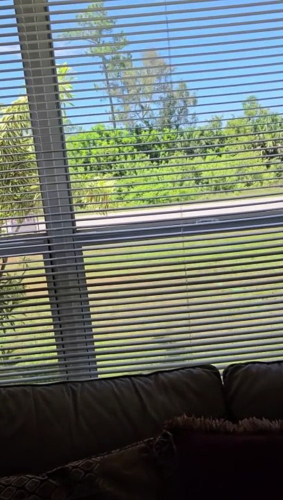 466 REDWING DR LEHIGH ACRES,FL, 33974