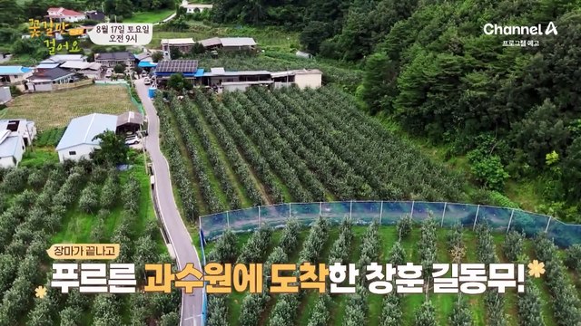 [예고] 1200평 과수원과 100평 옥수수밭을 관리하며 망가진 허리! 건강을 되찾고 꽃길만 걸을 수 있을까?