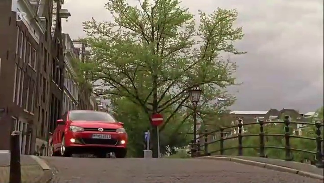 Tulpen aus Amsterdam