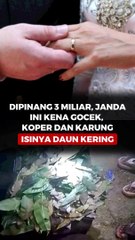 Dipinang 3 Miliar, Janda Ini kena Gocek, Koper dan Karung Isinya Daun Kering