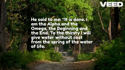 Heavy Rain in the Forest