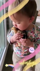 Colourful escapes|colouring by numbers|drawing|art