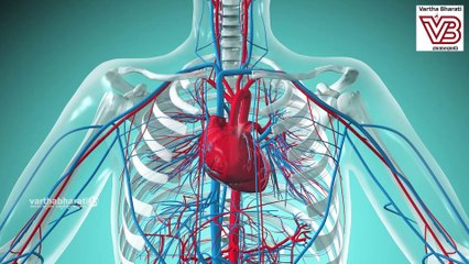 ಕಡಿಮೆ ರಕ್ತದೊತ್ತಡದ ಮುಖ್ಯ ಲಕ್ಷಣಗಳೇನು? | Low BP | Blood pressure | DIET TALK with Pallavi Idoor