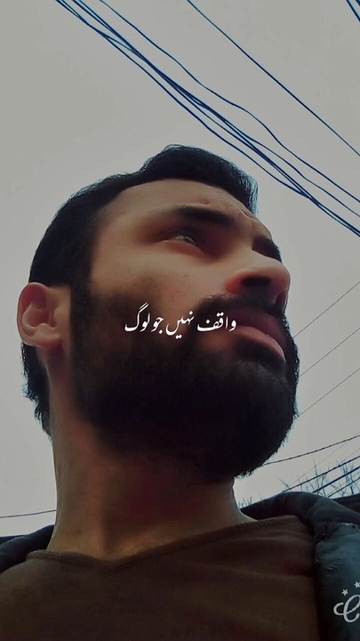 Thoughtsfull lines