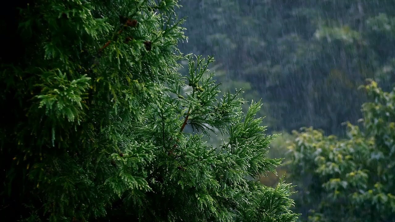 Heavy Rain with beautiful.