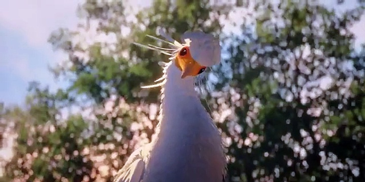 Flow, le chat qui n’avait plus peur de l’eau Bande-annonce VF