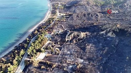 Çanakkale'deki orman yangınından geriye kalanlar kahretti
