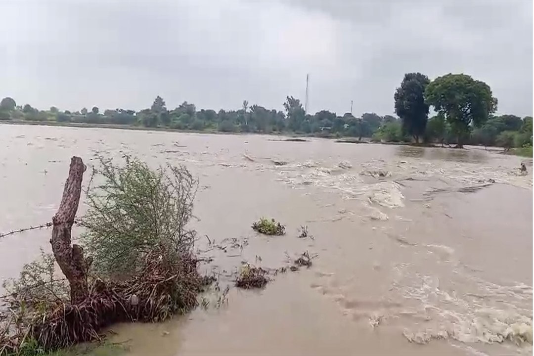 Heavy Rain: राजस्थान में भारी बारिश कर रही बेहा...