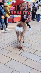 when you expect too much..