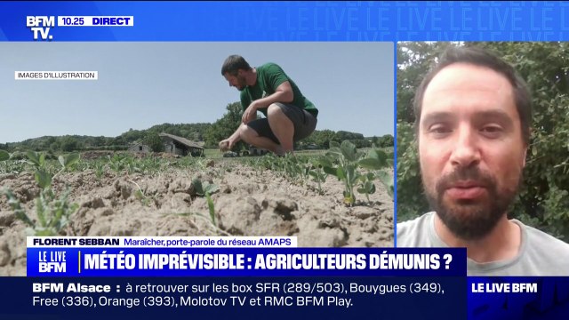 Baisse des rendements agricoles: Les pouvoirs publics n'anticipent absolument pas les changements nécessaires pour aller vers des fermes plus résilientes , s'alerte Florent Sebban, porte-parole du réseau AMAPS