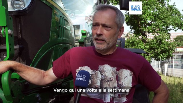 Berlino, il birrificio contro lo spreco: birra alimentata dal sole e gli scarti nutrono gli animali