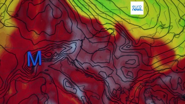 Droughts caused by severe heat in Hungary lead to serious agricultural damage