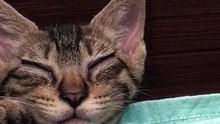 2024-08-11　生後2.5か月