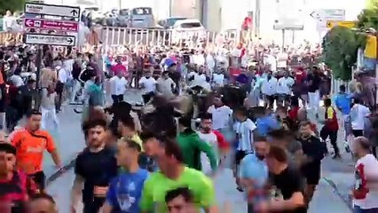 Segundo encierro en las fiestas de Peñafiel