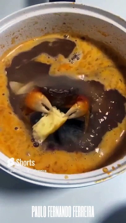 Special Dinner