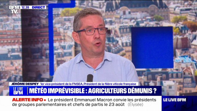 Baisse des rendements agricoles: Il faut que l'État ait un grand plan d'investissement pour préserver l'agriculture française , demande Jérôme Despey de la FNSEA