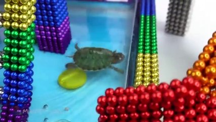 DIY - How To Build Mini Swimming Pool For Pet From Magnetic Balls  _ Magnet World Series