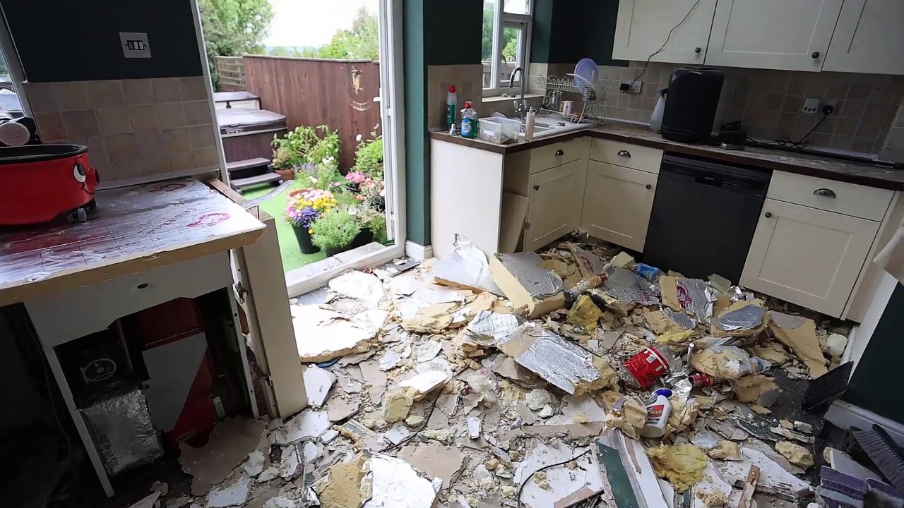Rats the size of cats destroyed my home, forcing my family to move out