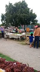 video_20240816_182300