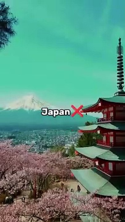 My Dream