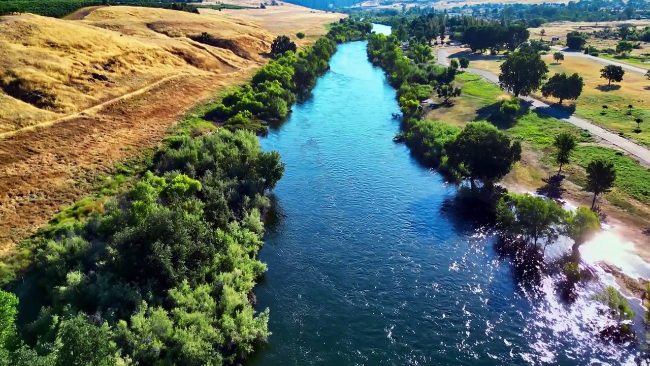 Gentle Music to Calm the Nervous System & Soothe the Soul | Healing Music for Heart & Blood Vessels