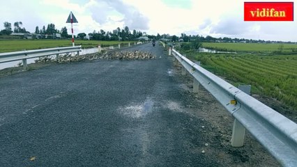 ducks crossing the road - canards traversant la route - सड़क पार करते बत्तख