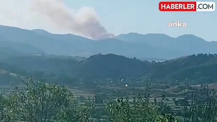 Çorum'un Dodurga ilçesinde orman yangını söndürüldü