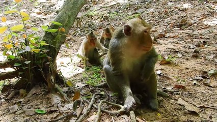 Bobby Now So Good All This Group Like Him