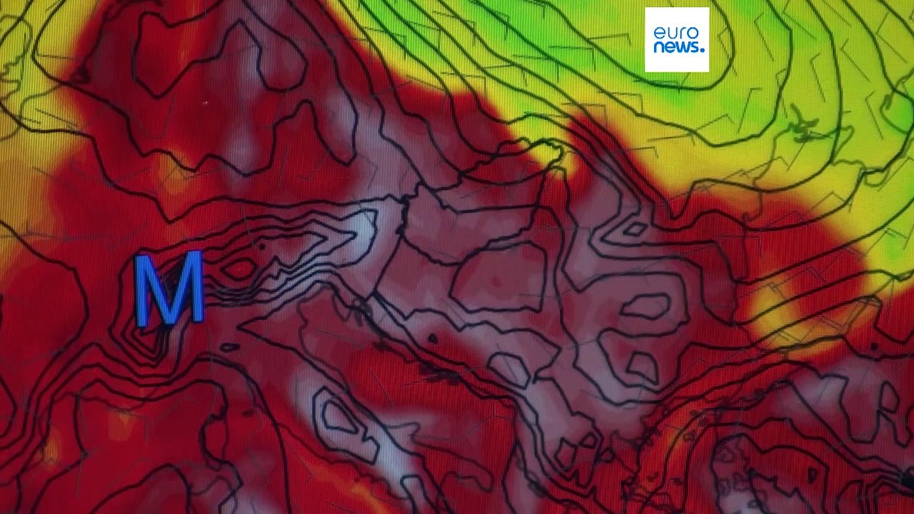 Seca na Hungria: danos graves nas plantações de milho, girassóis e beterraba